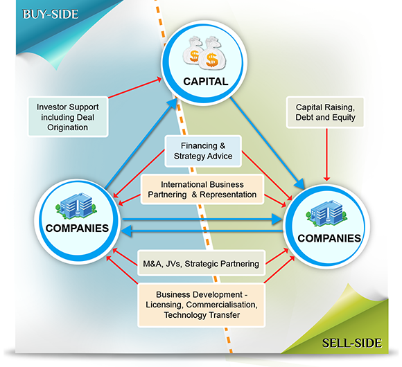 Buy-Side & Sell-Side Diagram