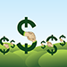 Investor Support - new Investment Origination and Representation